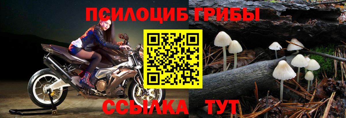 Псилоцибиновые грибы ЛСД Чебоксары